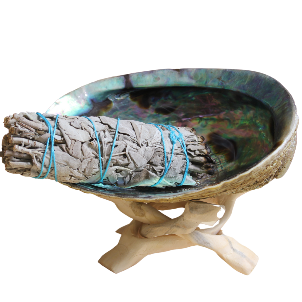 Incensario natural concha de abulone