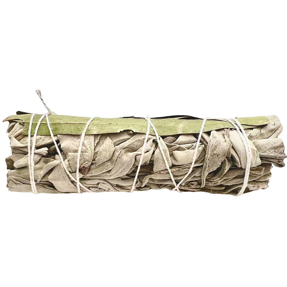 Salvia blanca con eucalipto (10-12cm)