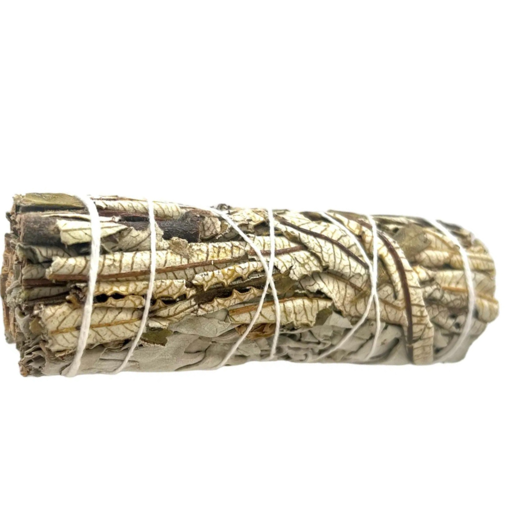 Salvia blanca con yerba santa (10-12cm)