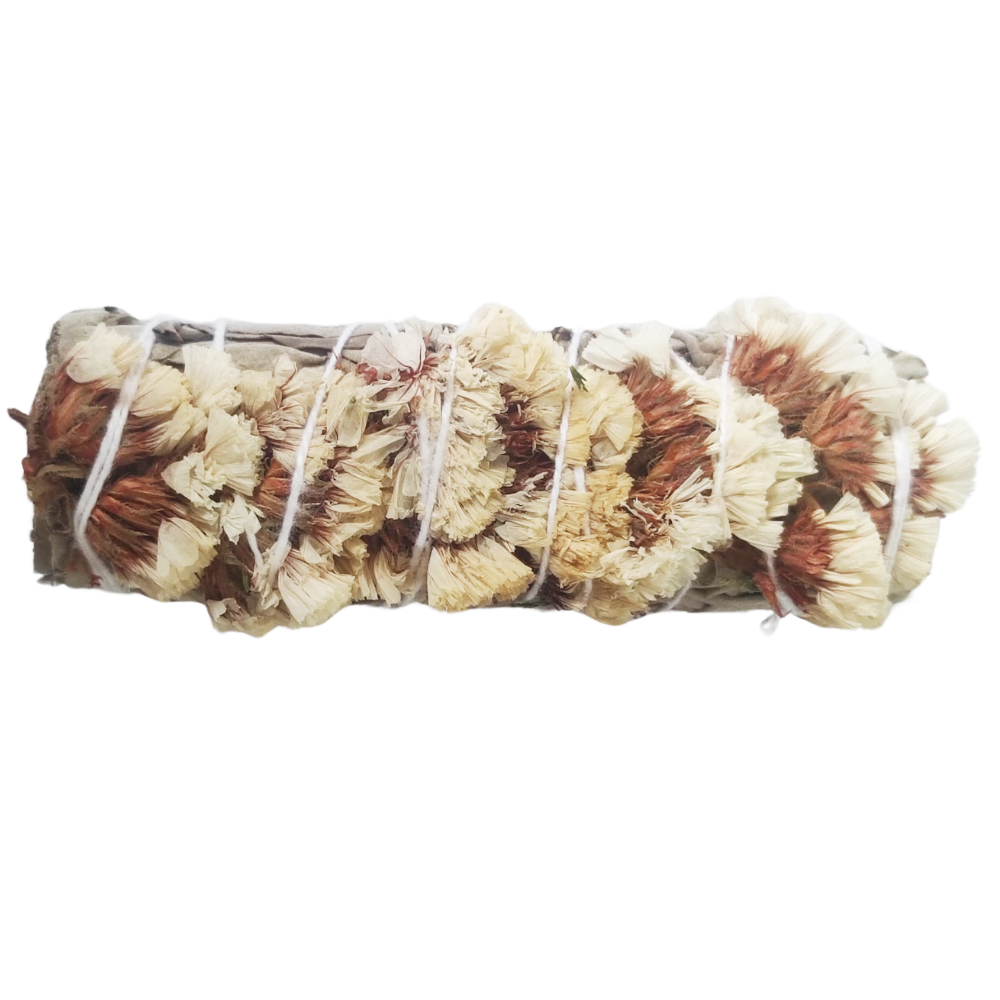 Salvia blanca con flor sinuata blanca (10-12cm)