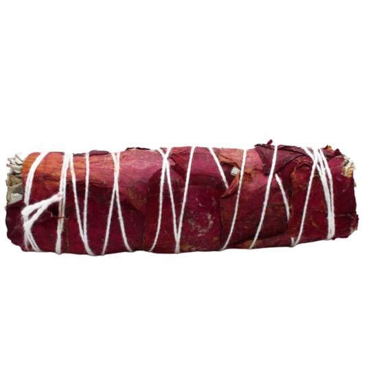 Salvia Blanca con pétalos de rosa (10-12cm)